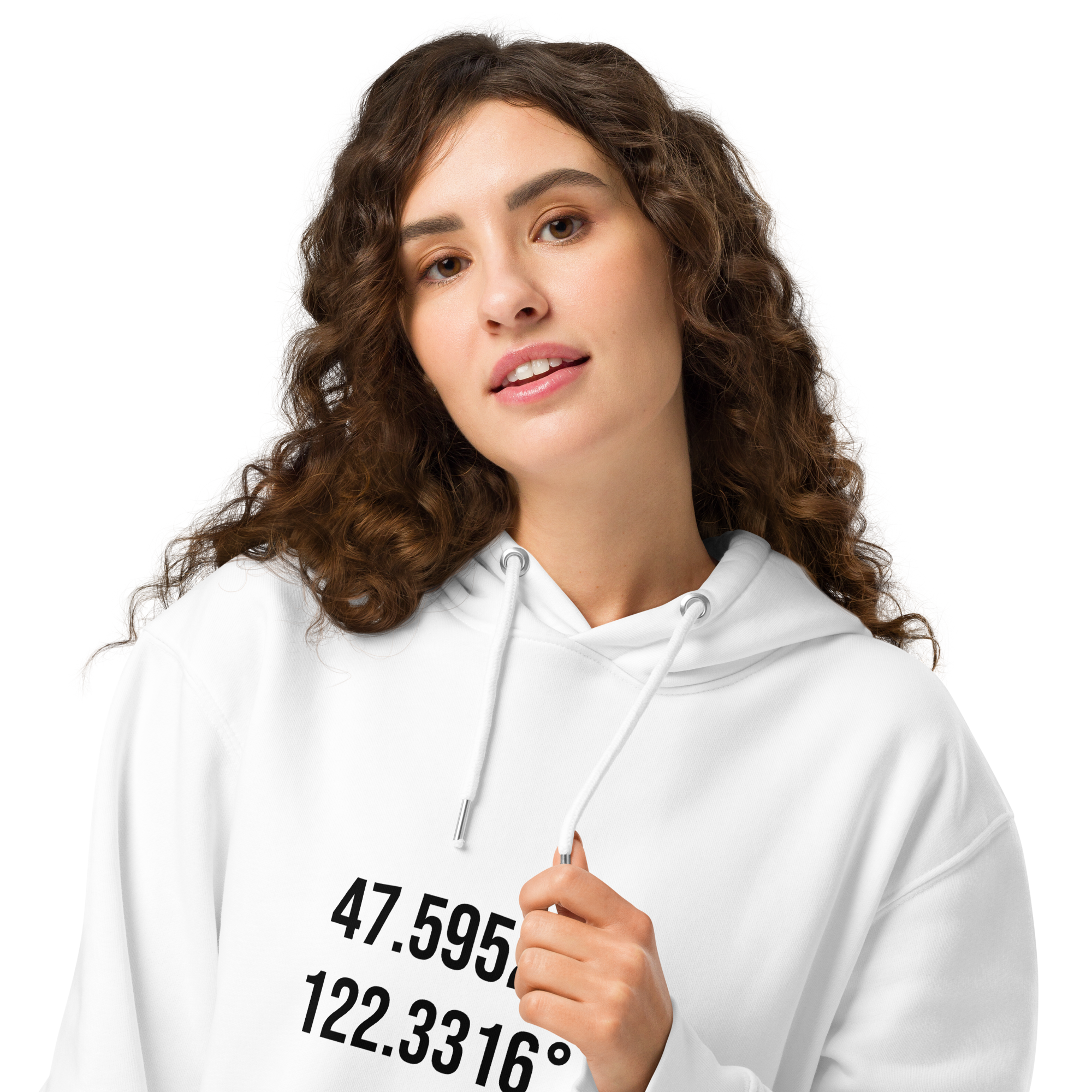 Seattle 2013 - Heavy Organic Recycled Hoodie
